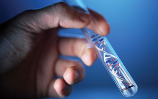 路透社 中国的生物科技大赌局开始获得回报