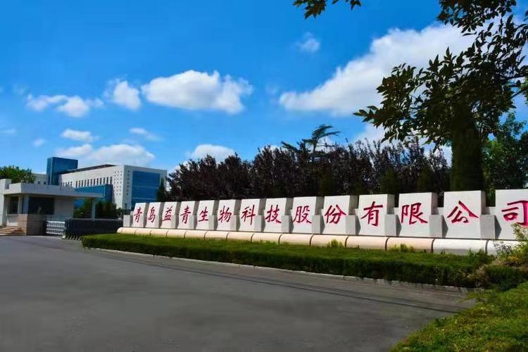 青岛益青生物科技股份 以硬核生物科技助力下游药厂供货，共克时艰